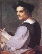 Portrait of a Young Man Andrea del Sarto